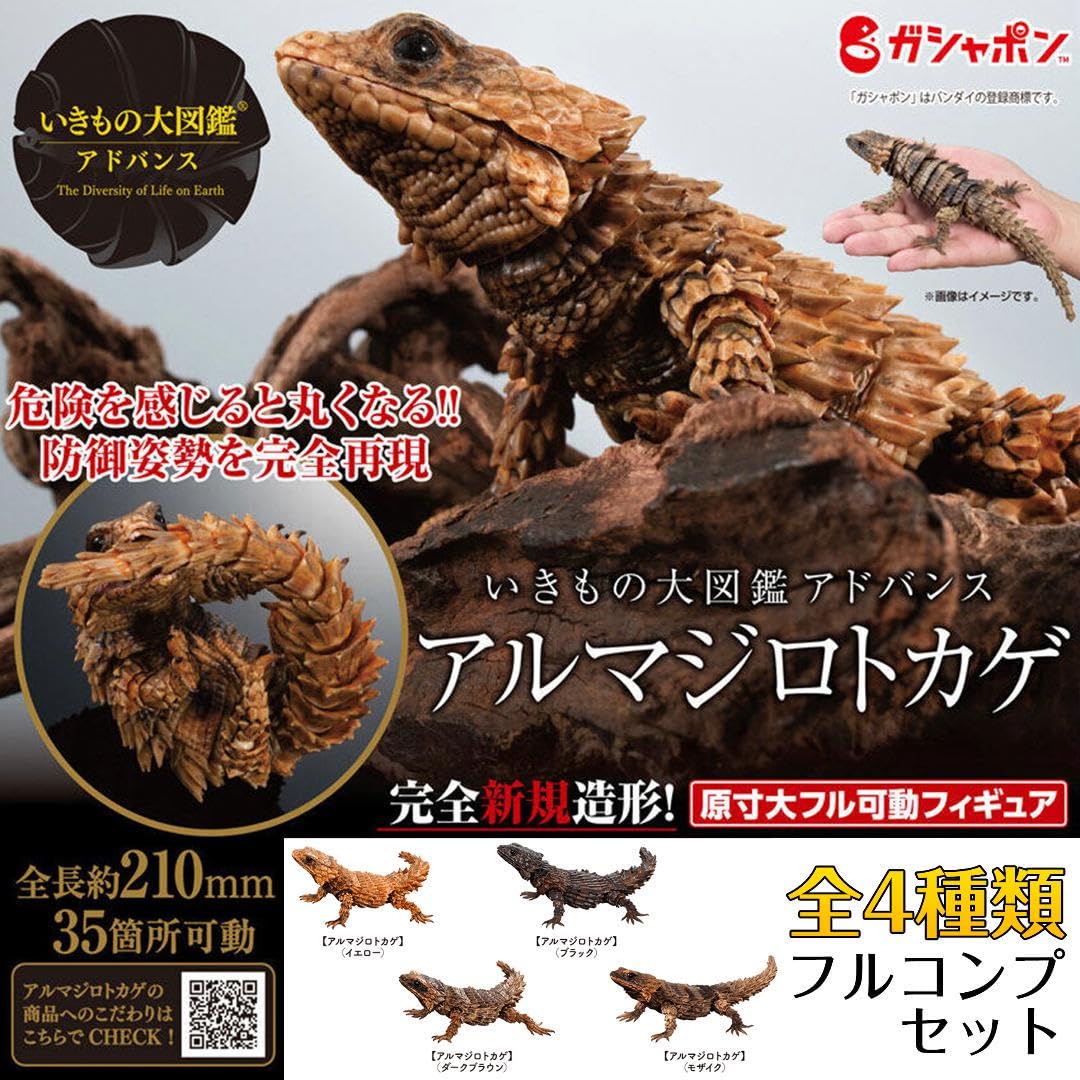 Amazon.co.jp: アルマジロトカゲ 4種 プレミアムガシャポン